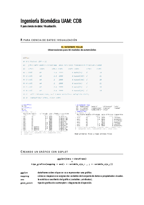Miniatura del documento 2-R-Visualizacion.pdf