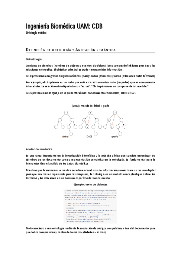 Miniatura del documento 11-Ontologia-Biomedica.pdf