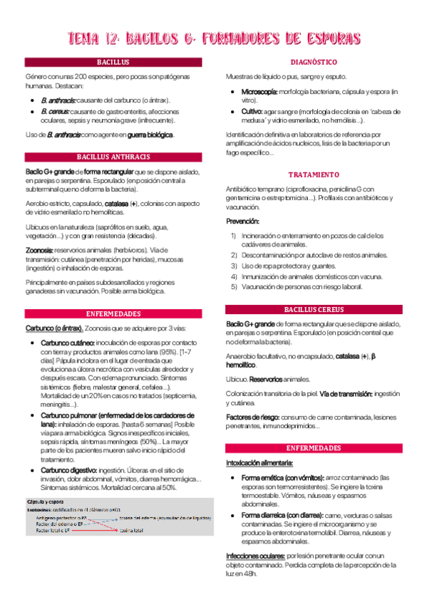 Miniatura del documento Tema-12-MBII.pdf