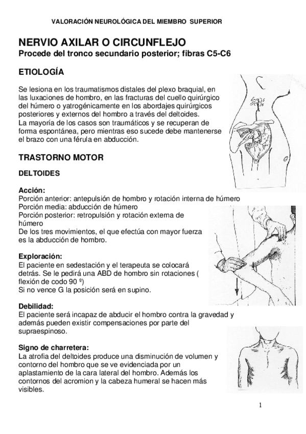 Miniatura del documento PRAC.-2-Apuntes.pdf