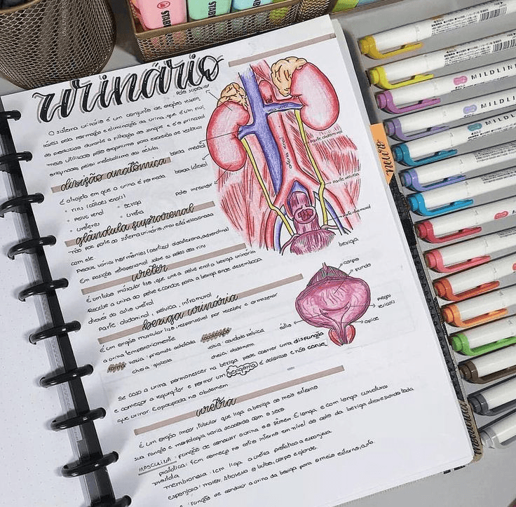 Miniatura del documento 1a87b6b0c67aef535e7c22159e156575.jpg