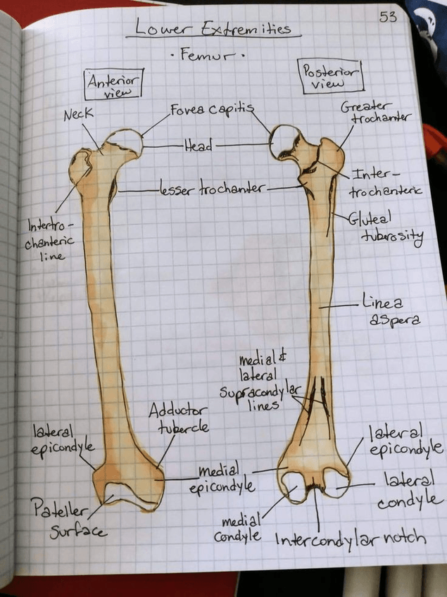 Miniatura del documento fa6659a69c5dda8d56983017c65e227e.jpg