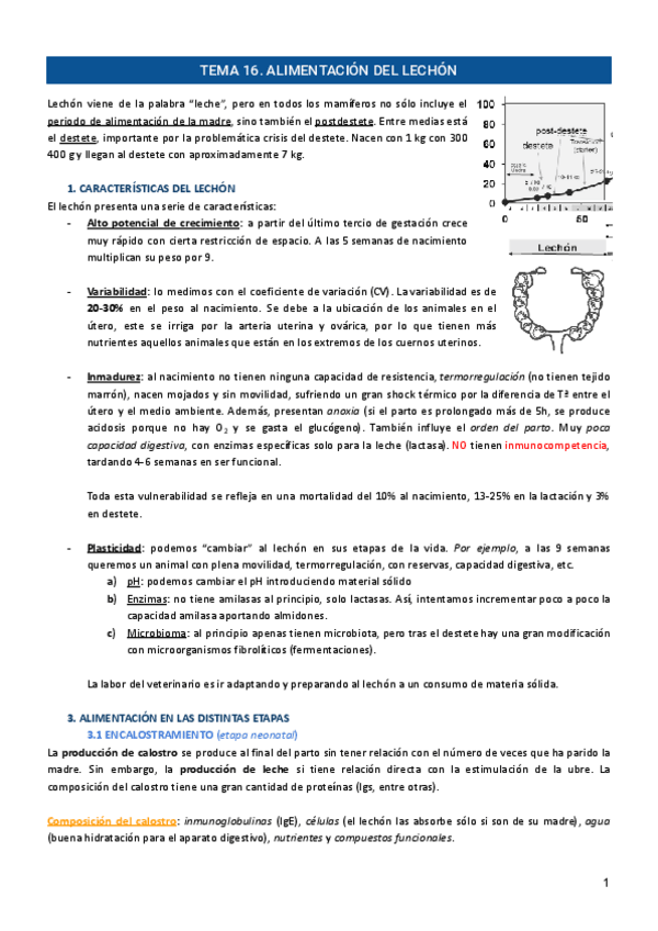 Miniatura del documento TEMA-16.-El-lechon.pdf