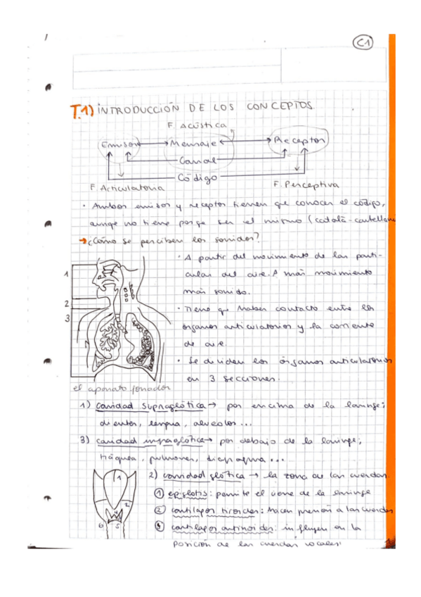 Miniatura del documento Apuntes-a-mano-T1-Introduccion-de-los-conceptos.pdf