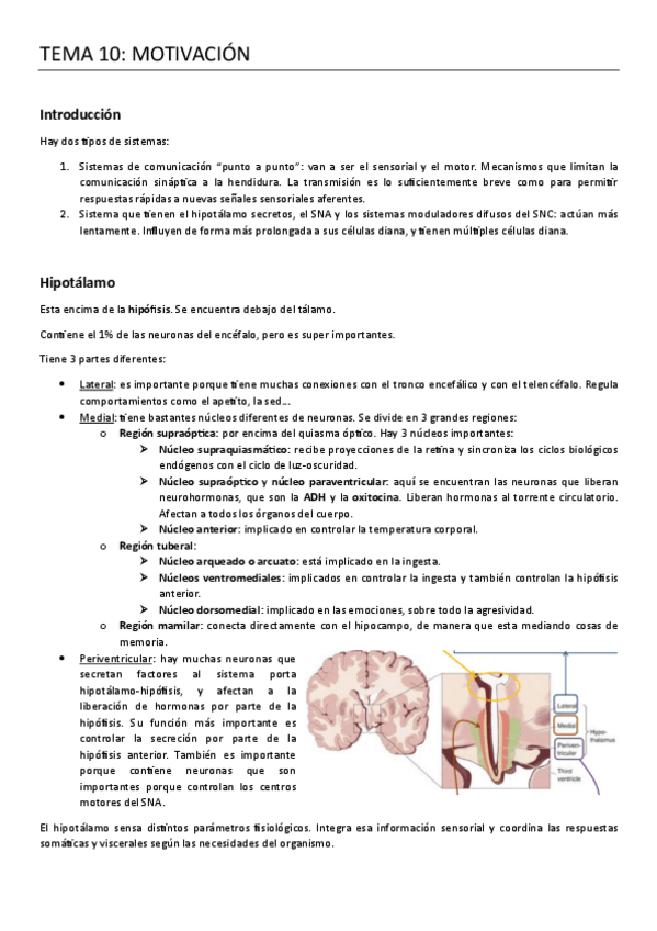 Miniatura del documento 10.-MOTIVACION.pdf