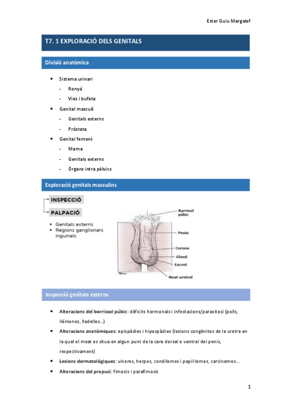 Miniatura del documento T7.-1-EXPLORACIO-DELS-GENITALS.pdf