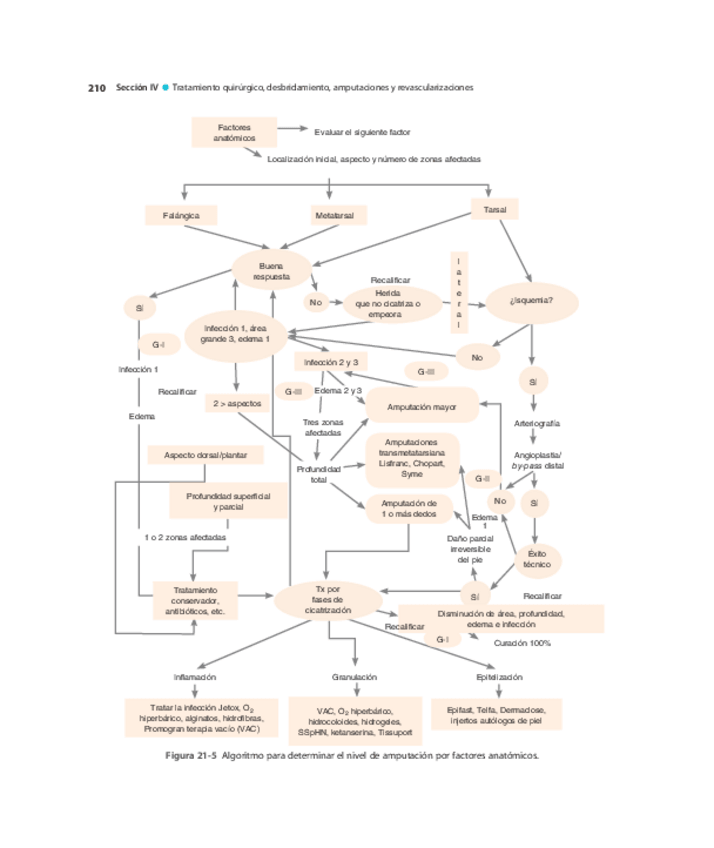 Miniatura del documento Pie-Diabetico-Atencion-Integral-S-17.pdf