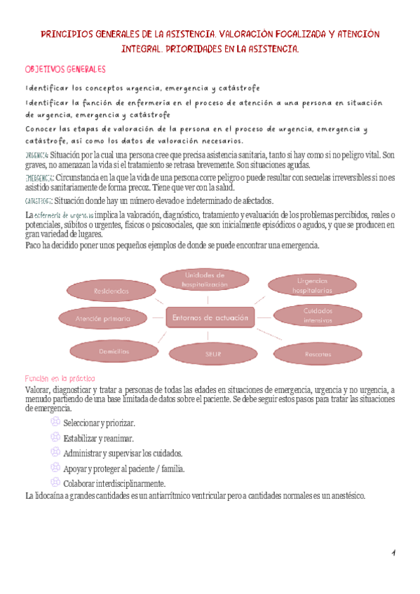 Miniatura del documento introduccion.pdf