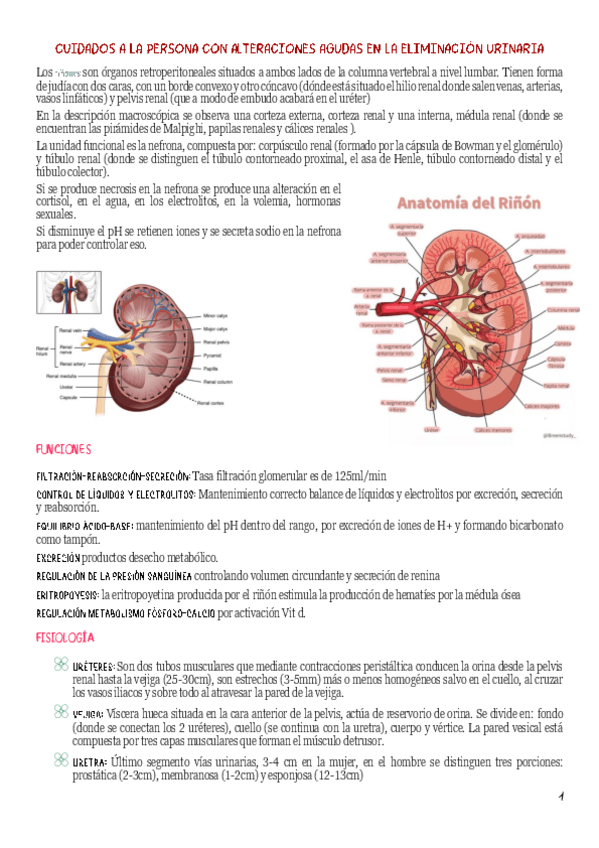 Miniatura del documento Renal.pdf