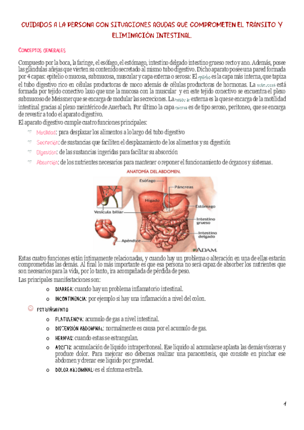 Miniatura del documento Intestino-delgado.pdf