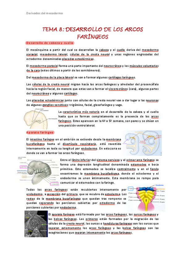 Miniatura del documento Tema-8.pdf