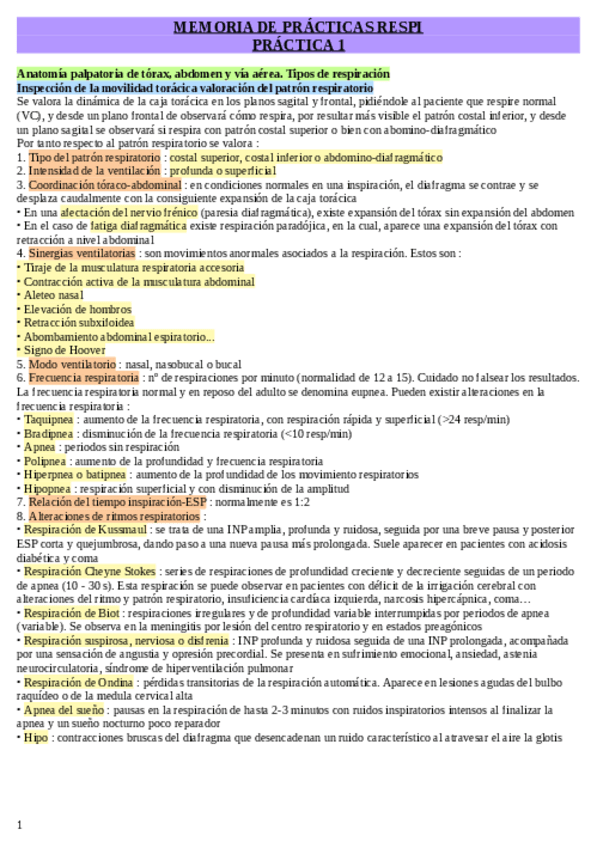 Miniatura del documento Memoria-de-practicas.pdf