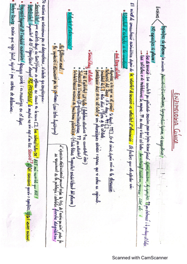 Miniatura del documento Quadro-resumen-enzimas.pdf