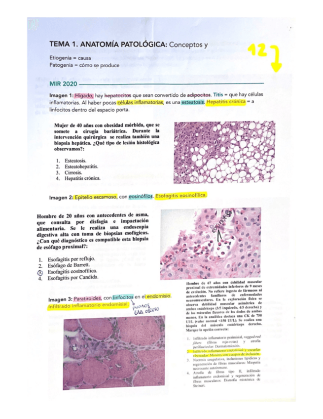 Miniatura del documento 1.-Preguntas-MIR.pdf