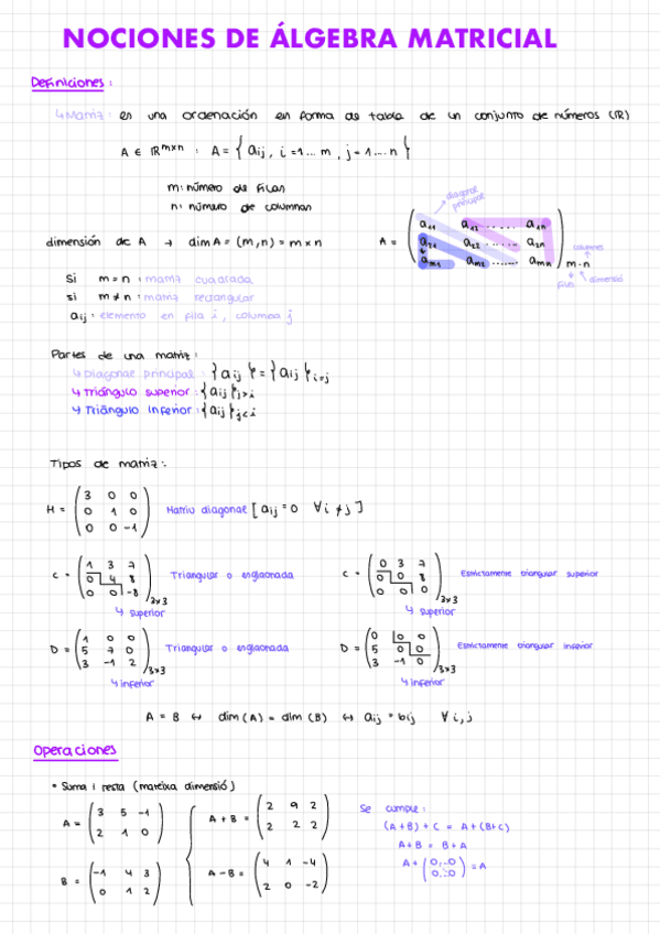 Miniatura del documento apunts-matrices-i-sistemas.pdf