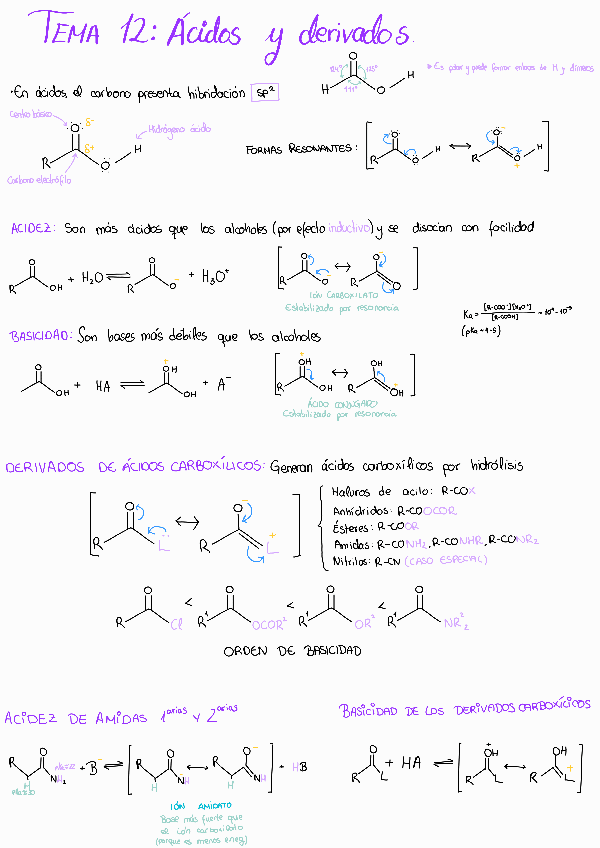 Miniatura del documento 12ACIDOS-Y-DERIVADOS.pdf
