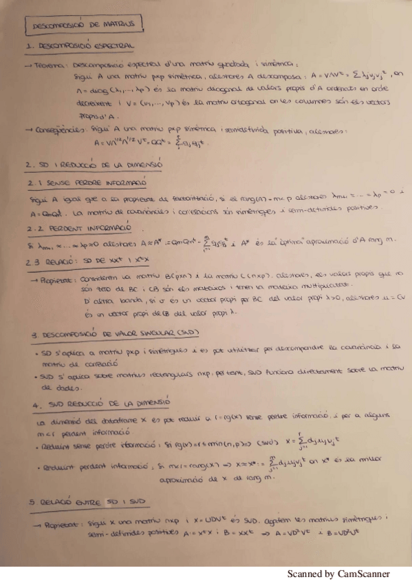Miniatura del documento descomposició matrius.pdf