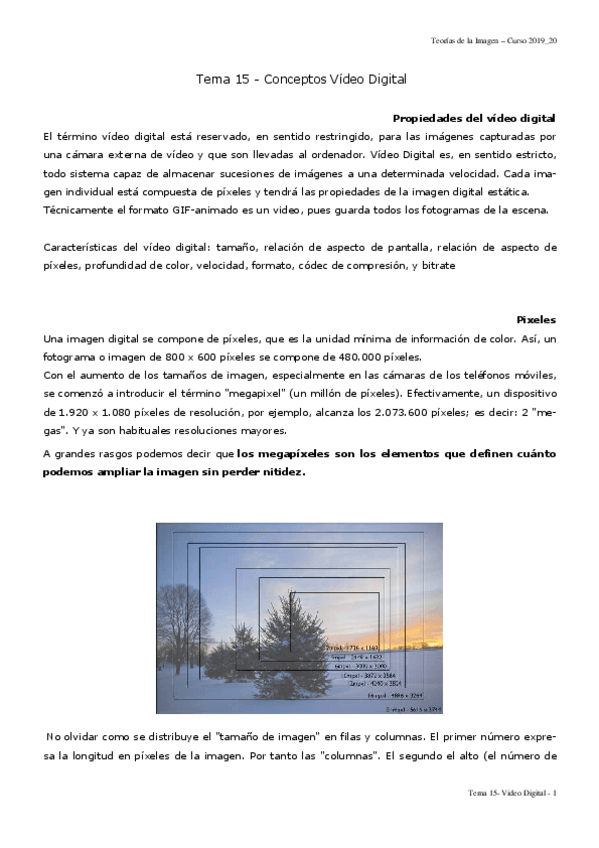 Miniatura del documento Tema15videoDigital.pdf