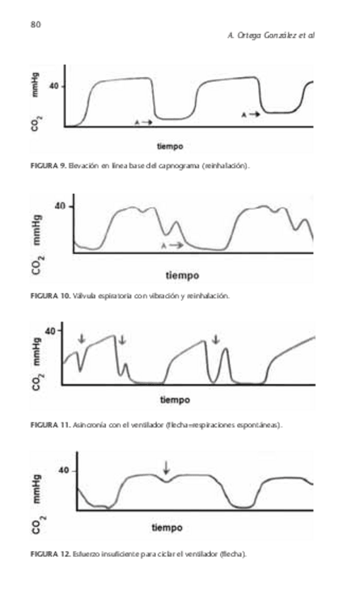 Miniatura del documento 16.-S-Patologia-respiratoria-7.pdf