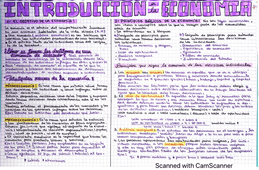 Miniatura del documento TEMA1-INTRODUCCION-A-LA-ECONOMIA.pdf