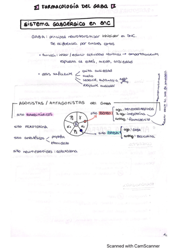Miniatura del documento Benzodiacepinas--anestesia-general.pdf