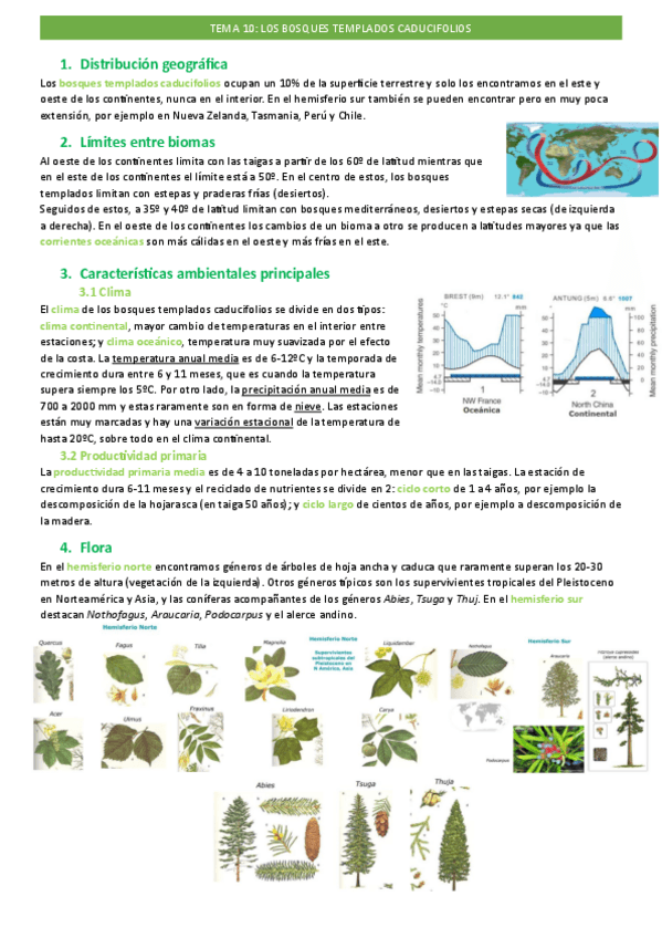 Miniatura del documento tema-10.pdf