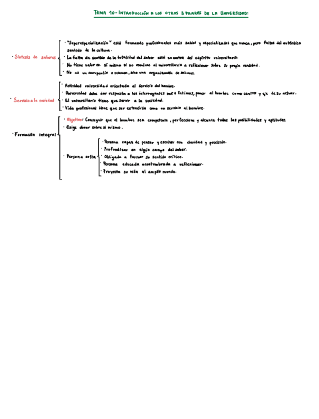 Miniatura del documento Tema-10-Introduccion-a-los-otros-3-pilares-de-la-universidad.pdf