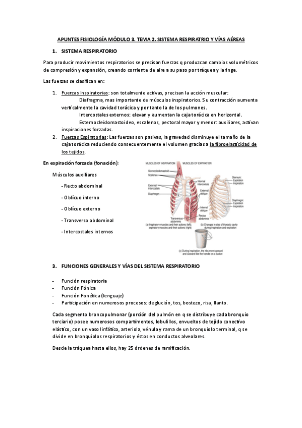 Miniatura del documento APUNTES-FISIOLOGIA-MODULO-3.-TEMA-2.pdf
