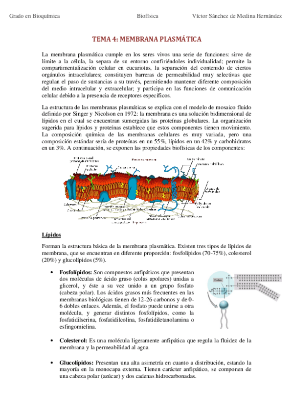 Miniatura del documento Bloque II. Transporte a través de Membrana.pdf