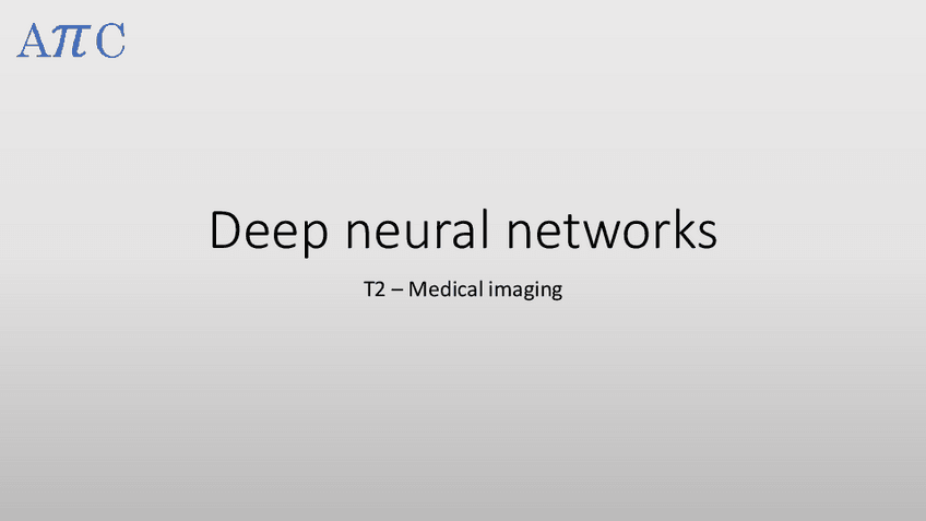 Miniatura del documento APICLecture2-5DNN.pdf