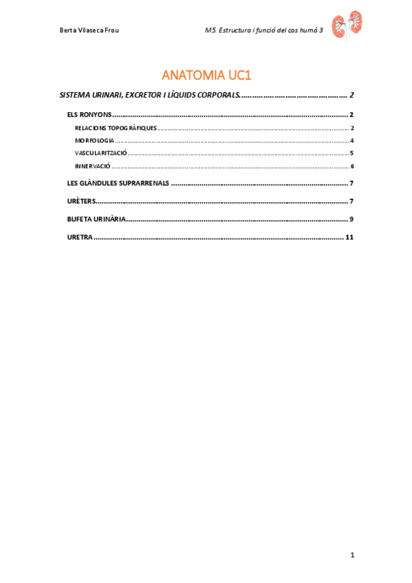 Miniatura del documento M5.-ANATOMIA-UC1.pdf