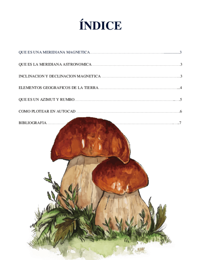 Miniatura del documento INVESTIGACION-TOPOGRAFIA.pdf