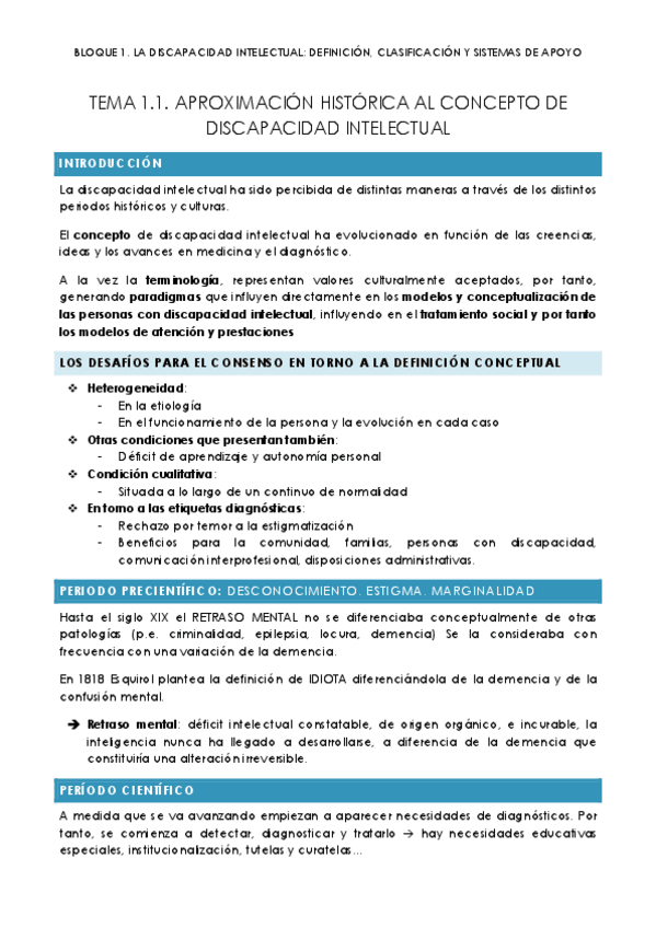 Miniatura del documento BLOQUE-1.-LA-DISCAPACIDAD-INTELECTUAL.pdf