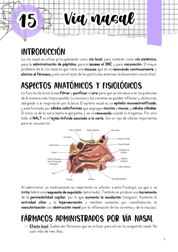 Miniatura del documento Tema-15.-Via-nasal.pdf