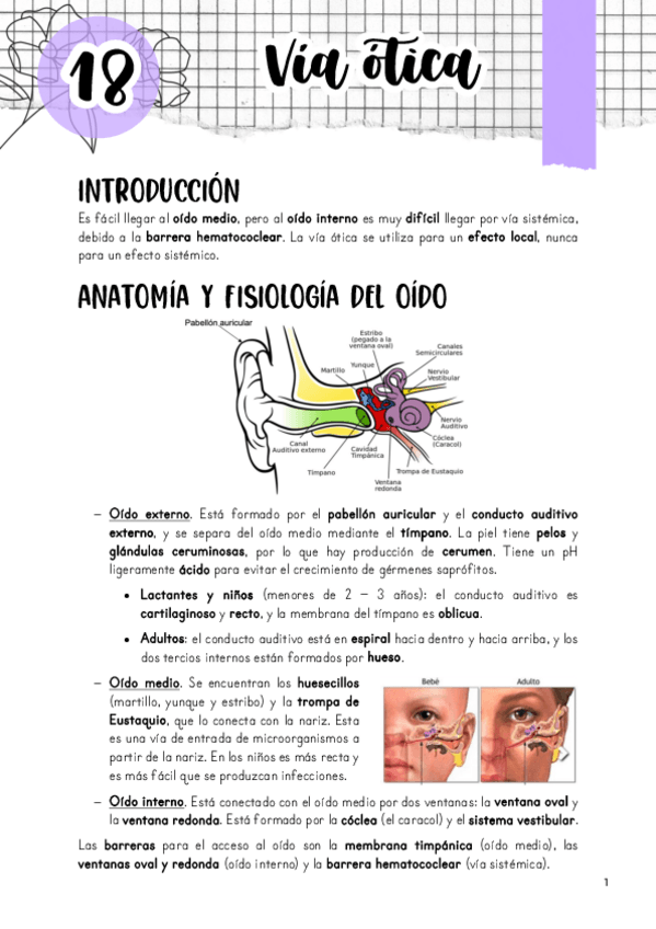 Miniatura del documento Tema-18.-Via-otica.pdf