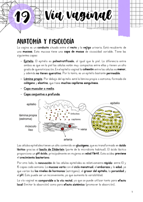 Miniatura del documento Tema-19.-Via-vaginal.pdf