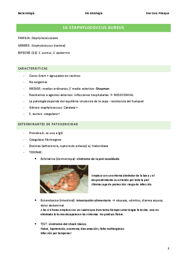 Miniatura del documento BACTERIOLOGIA-APUNTES-MAR-SANZ-PARTE-SERAL.pdf