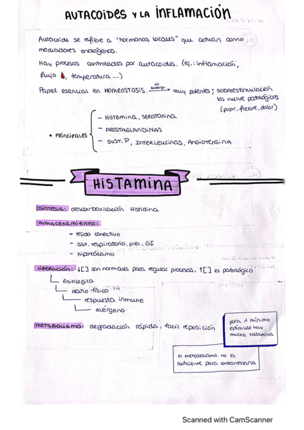 Miniatura del documento Antihistaminico.pdf