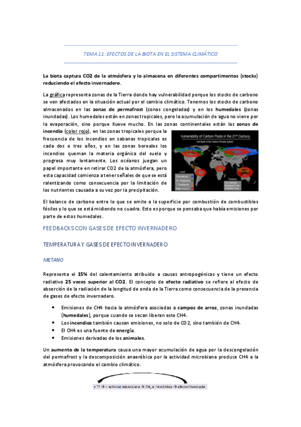 Miniatura del documento TEMA-11-EFECTOS-DE-LA-BIOTA-EN-EL-SISTEMA-CLIMATICO.pdf