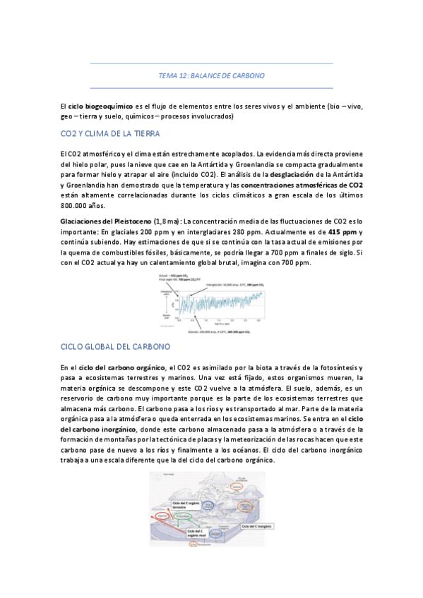 Miniatura del documento TEMA-12-BALANCE-DE-CARBONO.pdf