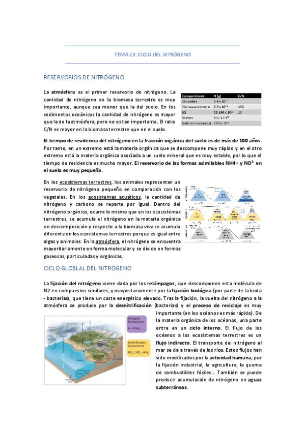 Miniatura del documento TEMA-13-CICLO-DE-NITROGENO-FOSFORO-Y-AZUFRE.pdf