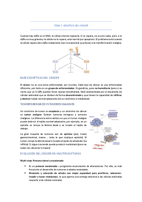 Miniatura del documento TEMA-7-GENETICA-DEL-CANCER.pdf