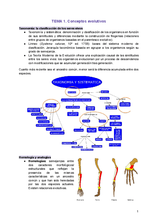 Miniatura del documento TEMA-1.-Conceptos-evolutivos.pdf