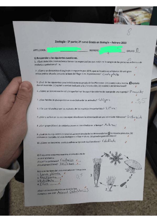 Miniatura del documento Examen-Zoo-Bloque-I-y-II- RESUELTO-NOTA-8.pdf