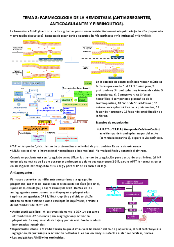 Miniatura del documento TEMA 8 ANTICOAGULANTES.pdf
