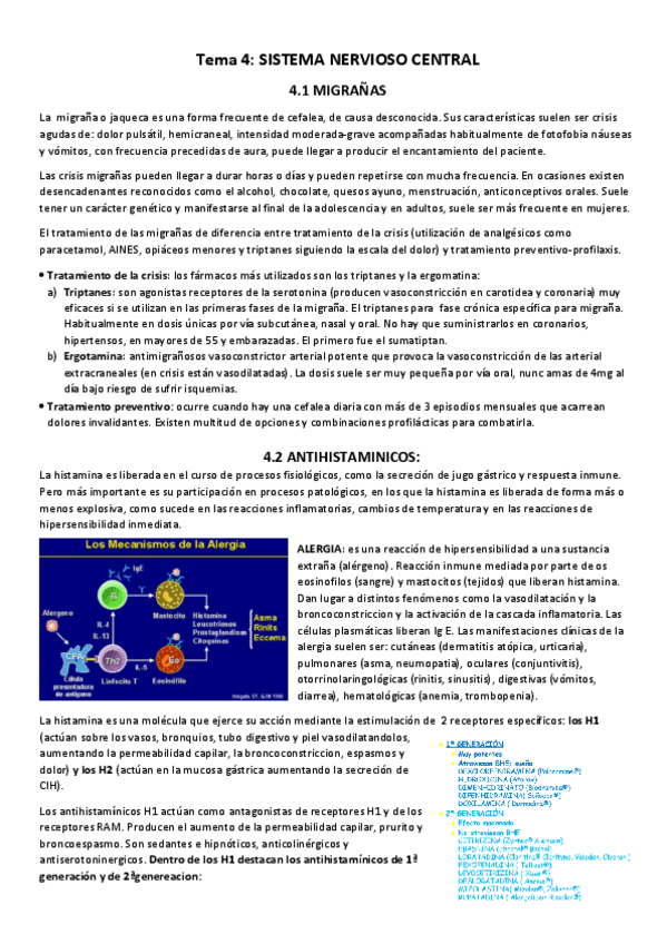 Miniatura del documento TEMA 4 SNC.docx.pdf