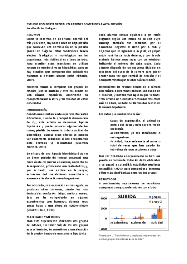 Miniatura del documento informe 2.pdf