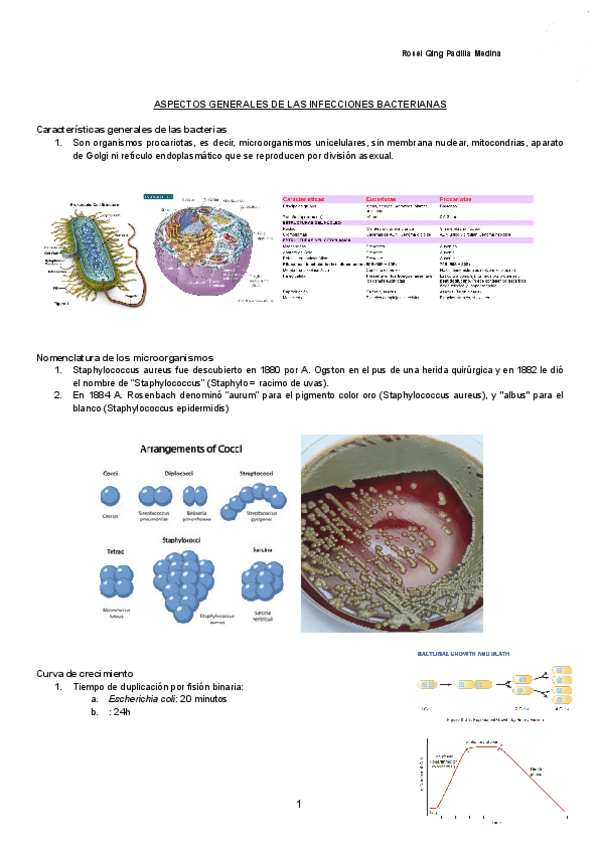 Miniatura del documento ASPECTOS-GENERALES-DE-LAS-INFECCIONES-BACTERIANAS-Documentos-de-Google.pdf