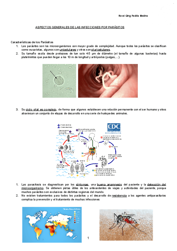 Miniatura del documento ASPECTOS-GENERALES-DE-LAS-INFECCIONES-POR-PARASITOS-Documentos-de-Google.pdf