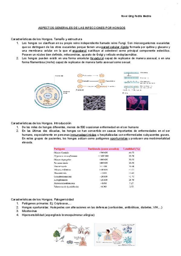 Miniatura del documento ASPECTOS-GENERALES-DE-LAS-INFECCIONES-POR-HONGOS-Documentos-de-Google.pdf